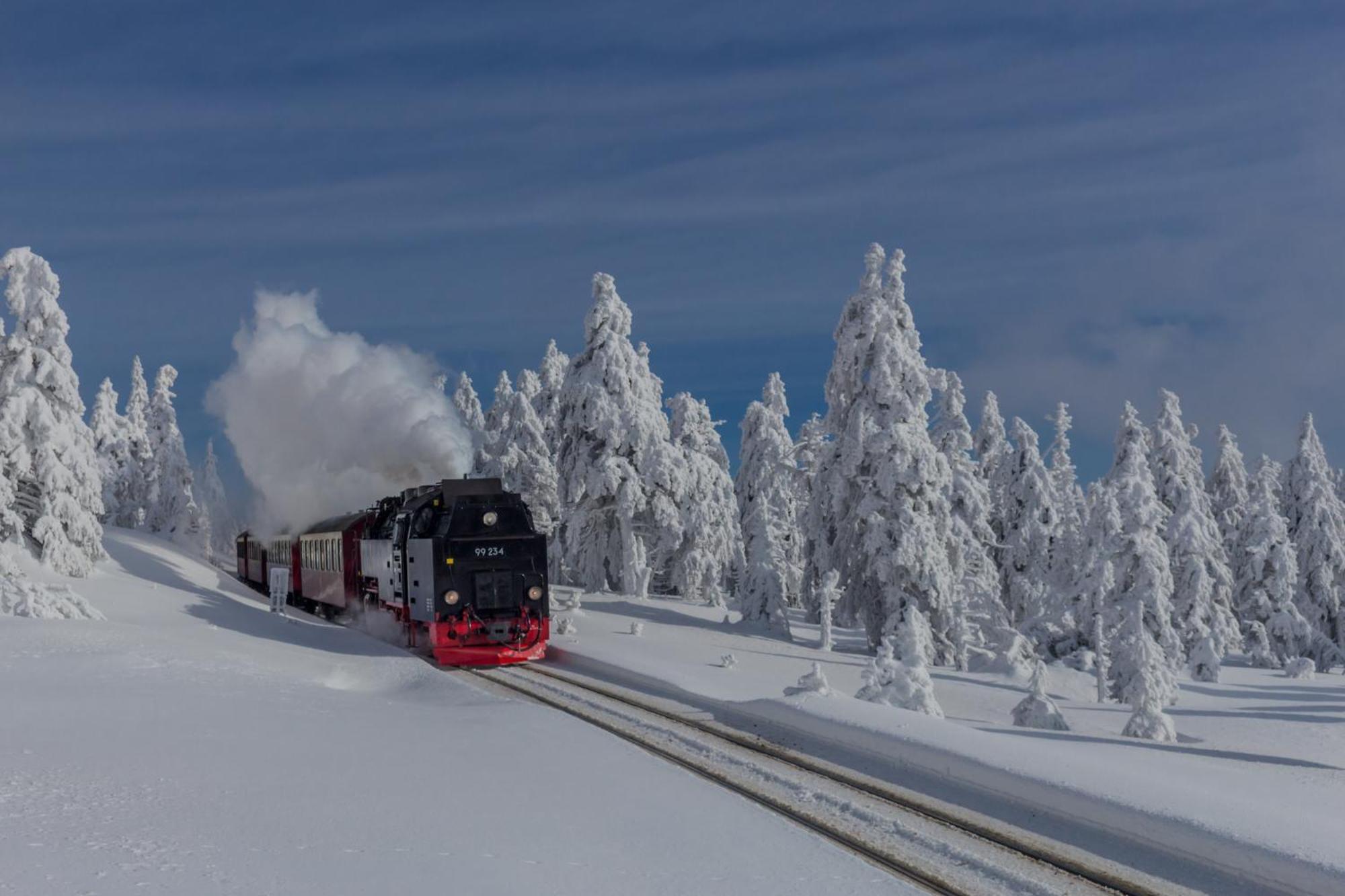 Fewo Schloesschen #Innenstadt#Garten#Ruhige Lage Von Harztraveler Wernigerode Kültér fotó
